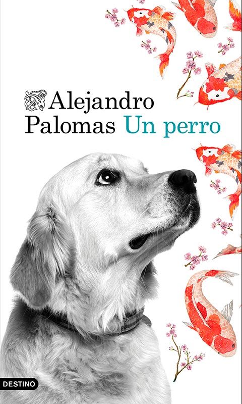 libro mascotas un perro