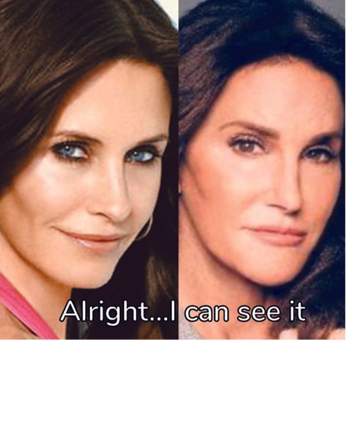 parecido-courteney-cox