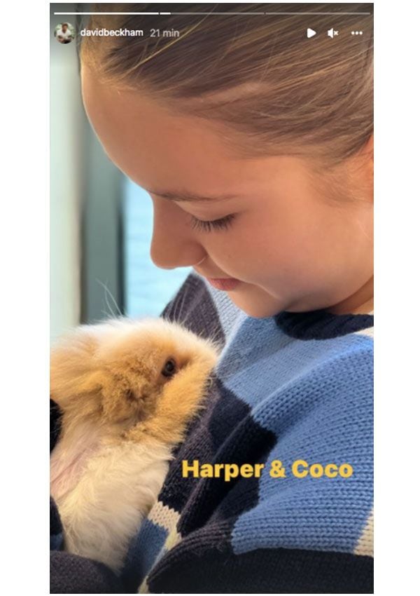 Harper-y-Coco