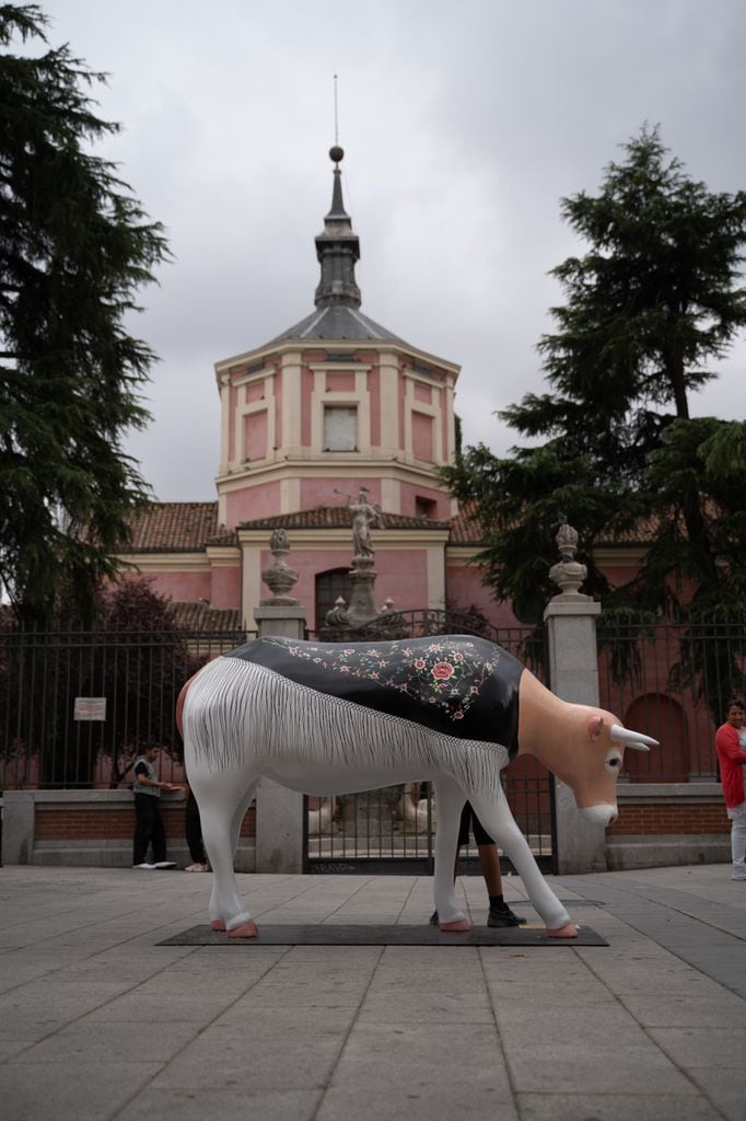 Madrid Cow Gallery