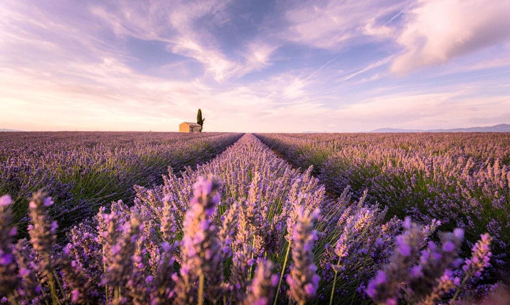 VIAJES PROVENZA, FRANCIA