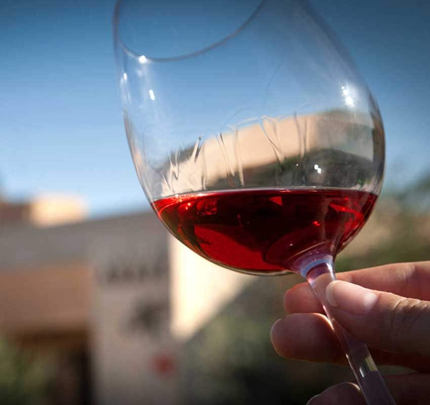 Vino rosado de la bodega Pagos de Araiz en Olite