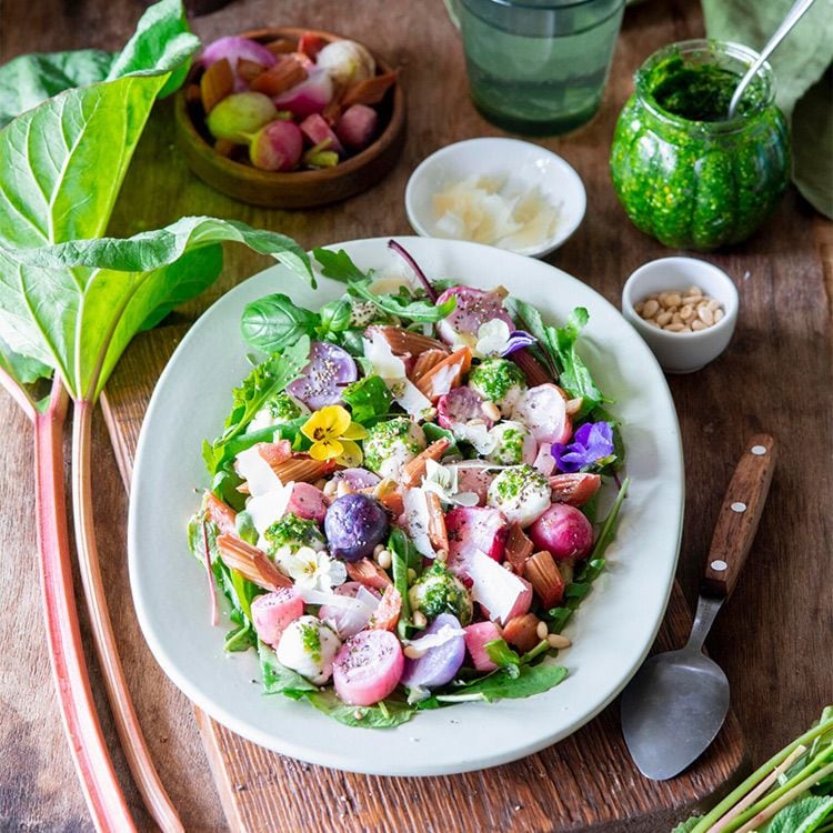 Ensalada con ruibarbo, rabanitos, coles y queso