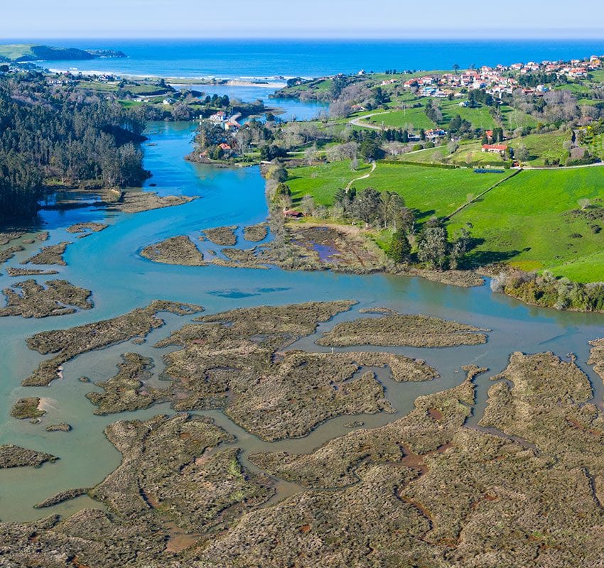 Parque Natural de Oyambre, Cantabria