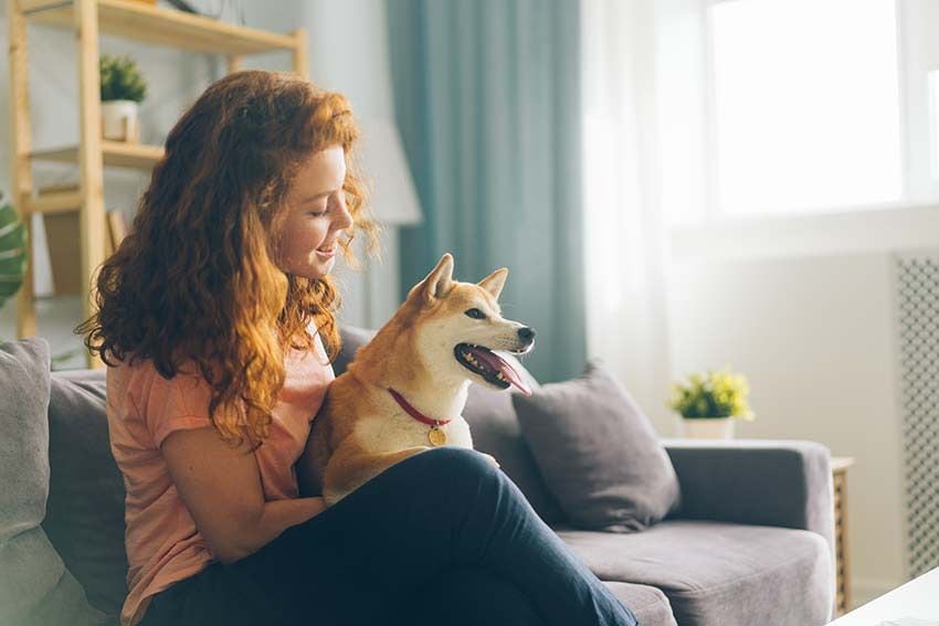 05 perros atractivos razones amor ternura