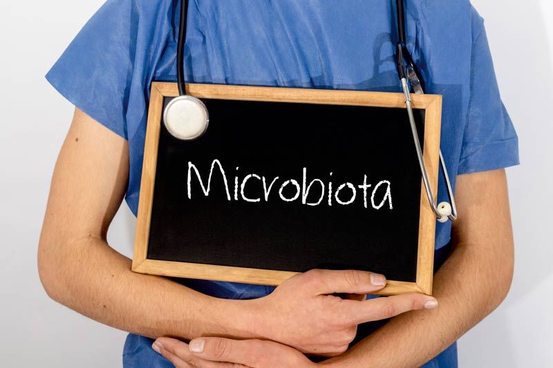 microbiota 2a