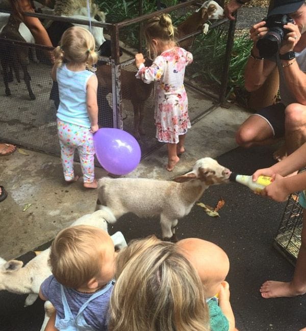 Elsa Pataky publicó en su cuenta de Instagram una foto del primer cumpleaños de sus mellizos, Tristán y Sasha, una fiesta en la que contrataron hasta un pequeño zoo
