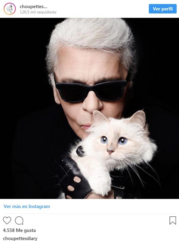 Choupette con Karl Lagerfeld