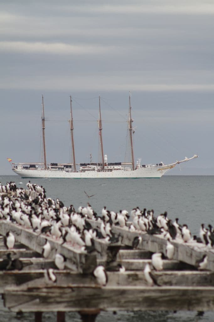 La princesa Leonor llega con el Juan Sebastián de Elcano a Punta Arenas (Chile) 