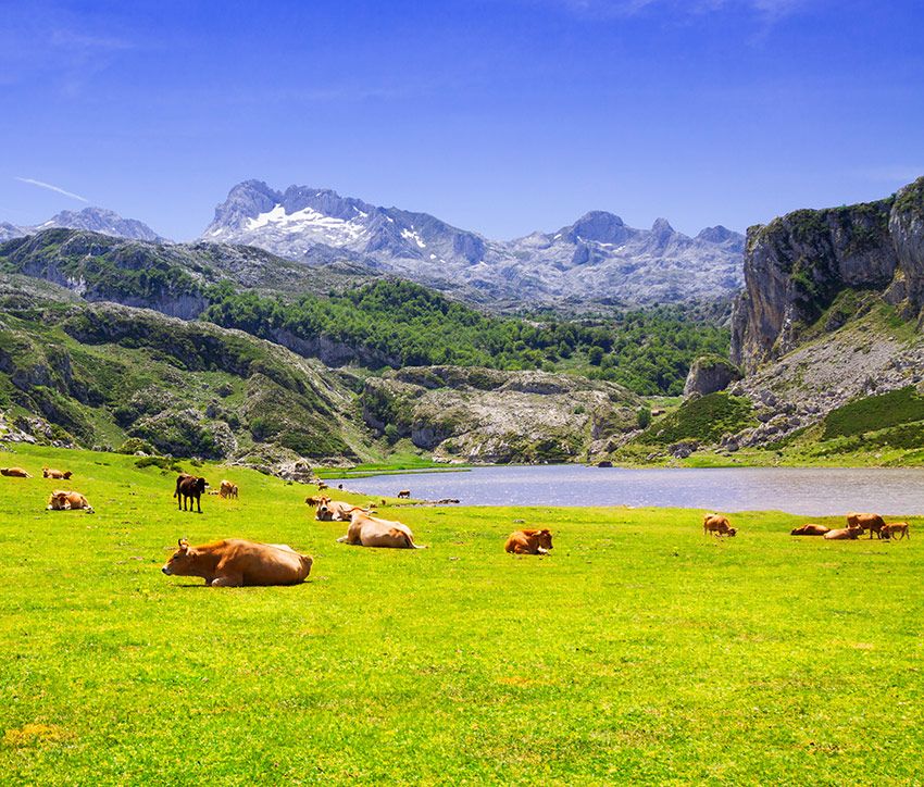 asturias