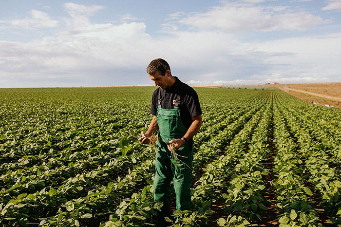 La bebida vegetal está de moda y en Vivesoy lo saben