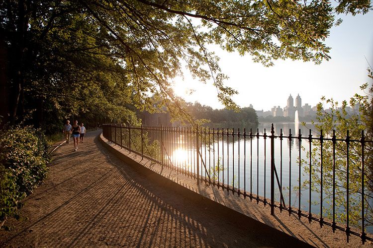 CentralPark nueva york