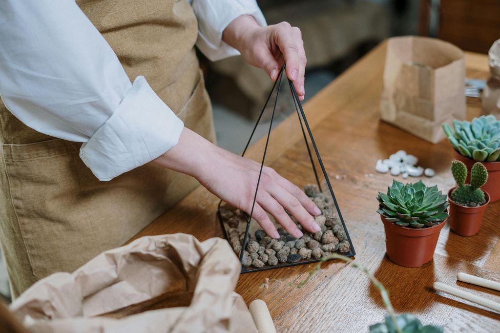 Cómo hacer un terrario paso a paso