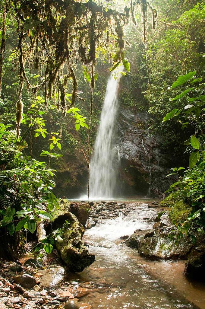 bosque-ecuador-Waterfall