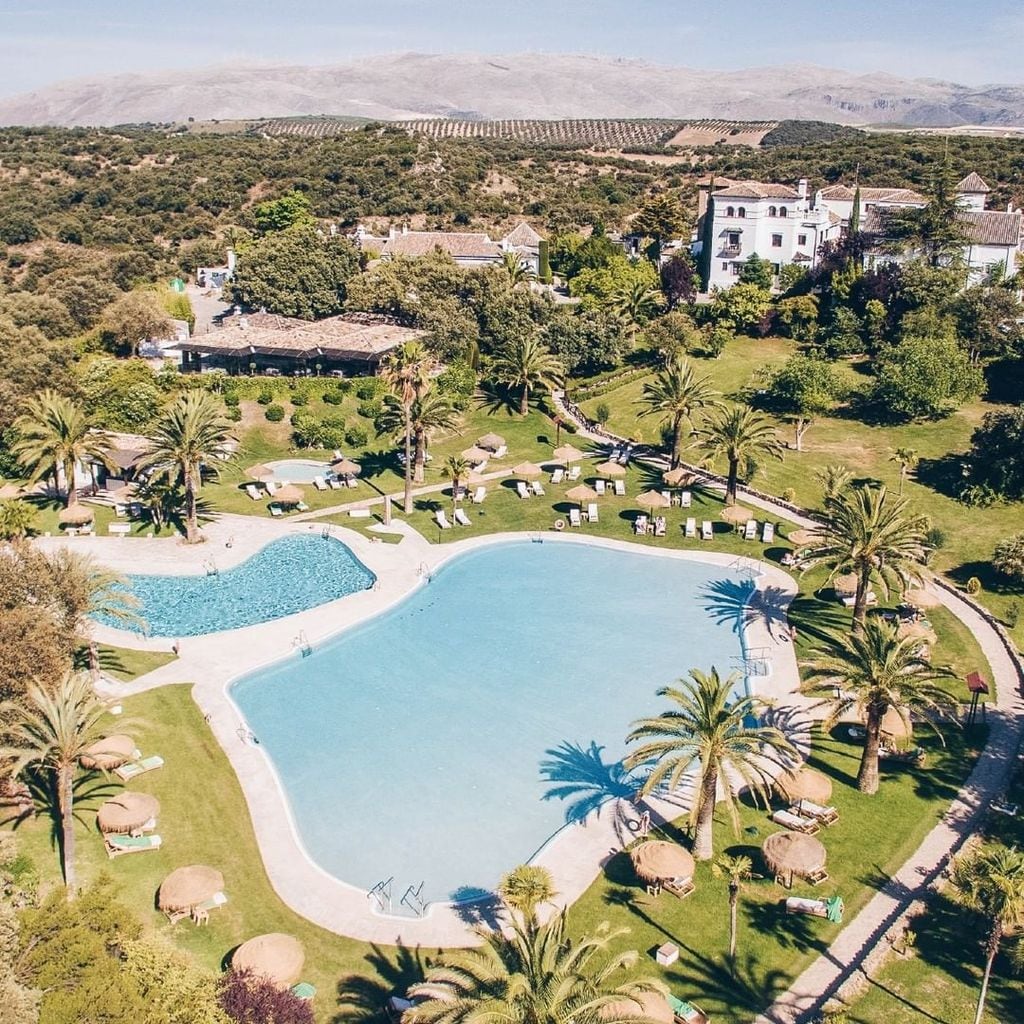 La piscina, rodeada de una zona ajardinada con palmeras y especies aromáticas es otro de los grandes lujos con los que cuenta el hotel.