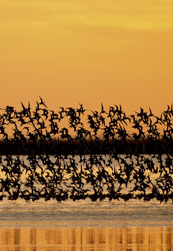 parque nacional Donana_Huelva