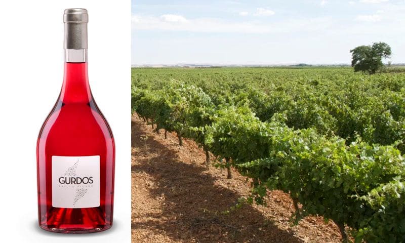 vino rosado gurdos gordonzello 2018 bodegas