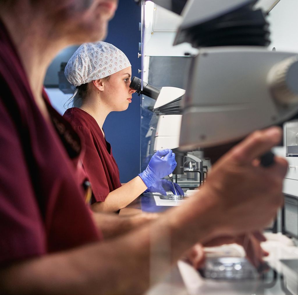 laboratorio de fertilidad