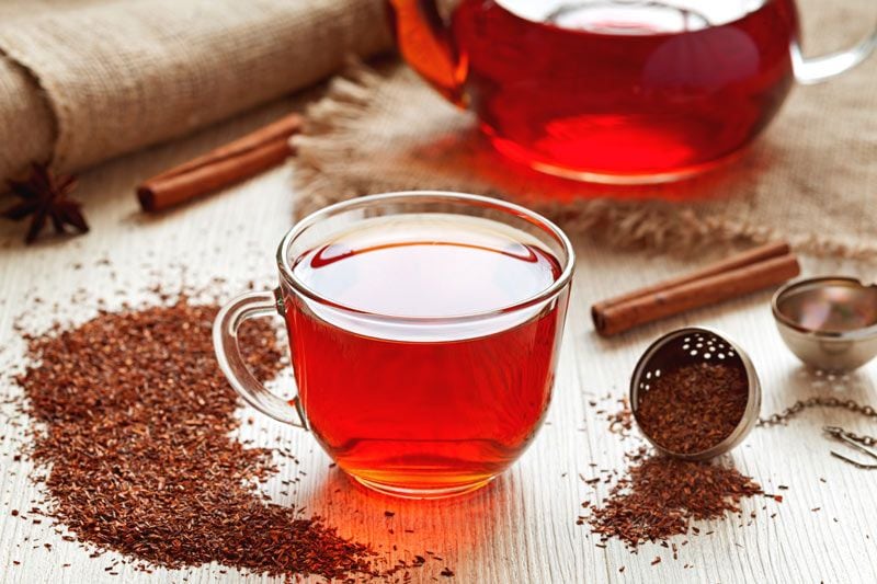 rooibos