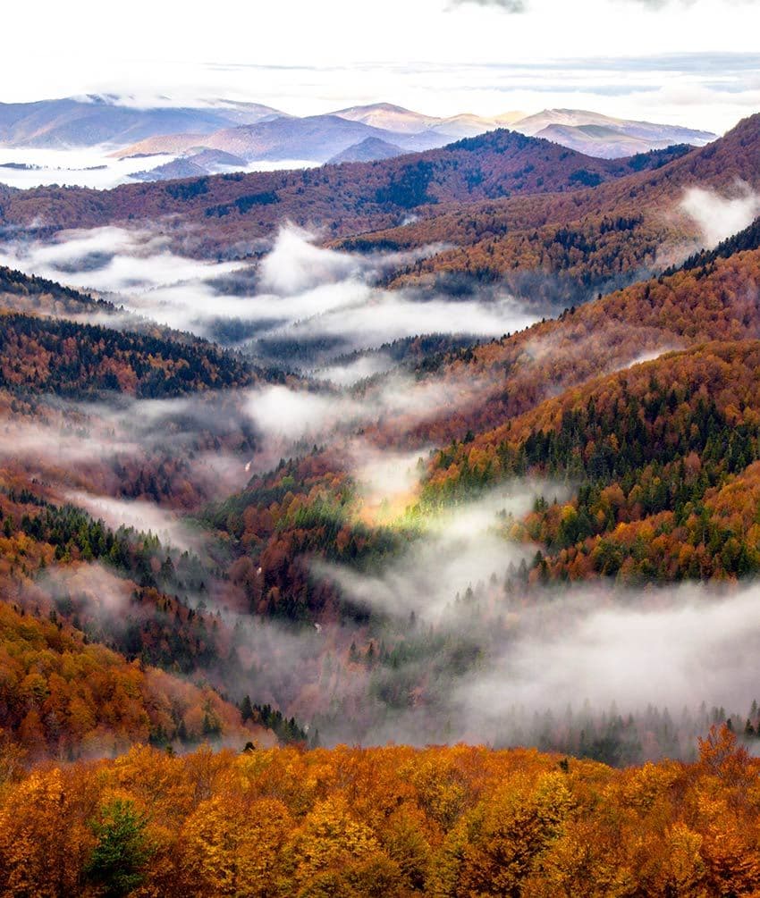 selva irati navarra