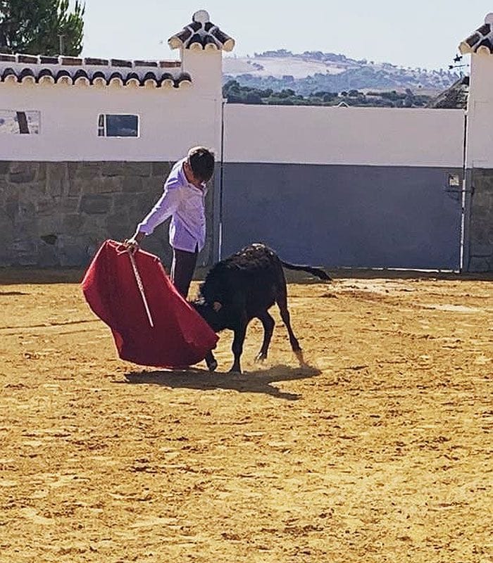 Hijo de Morante toreando 