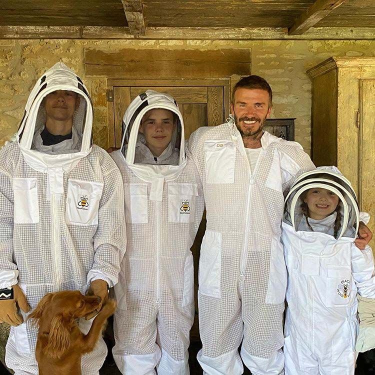 David Beckham y sus hijos