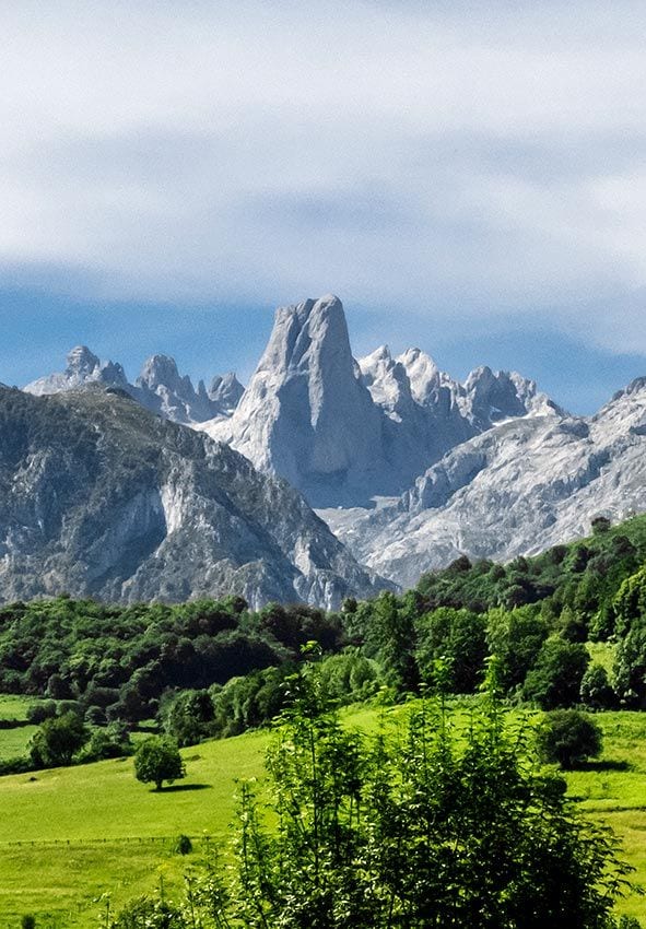 Naranjo-Bulnes