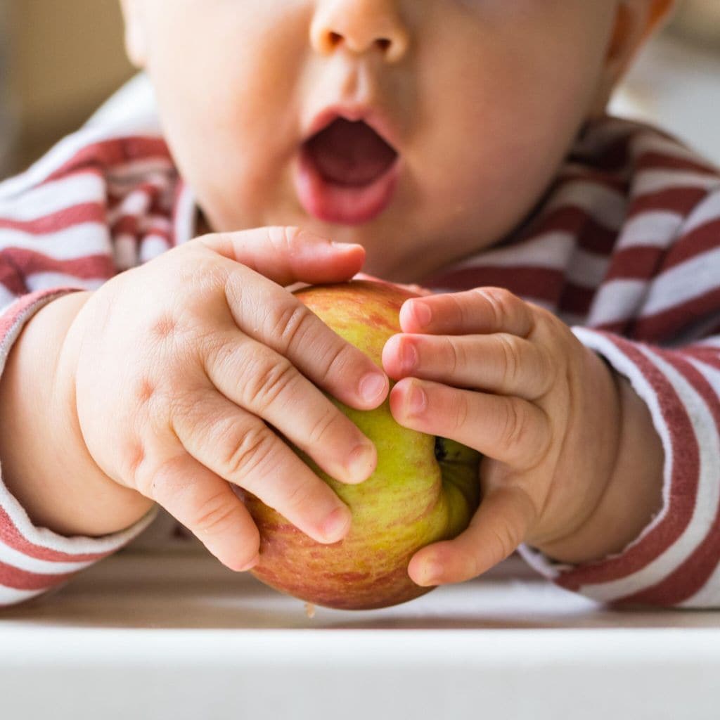 Dieta flexitariana en bebés.