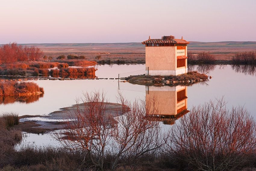 Laguna-de-Villafafila-Zamora