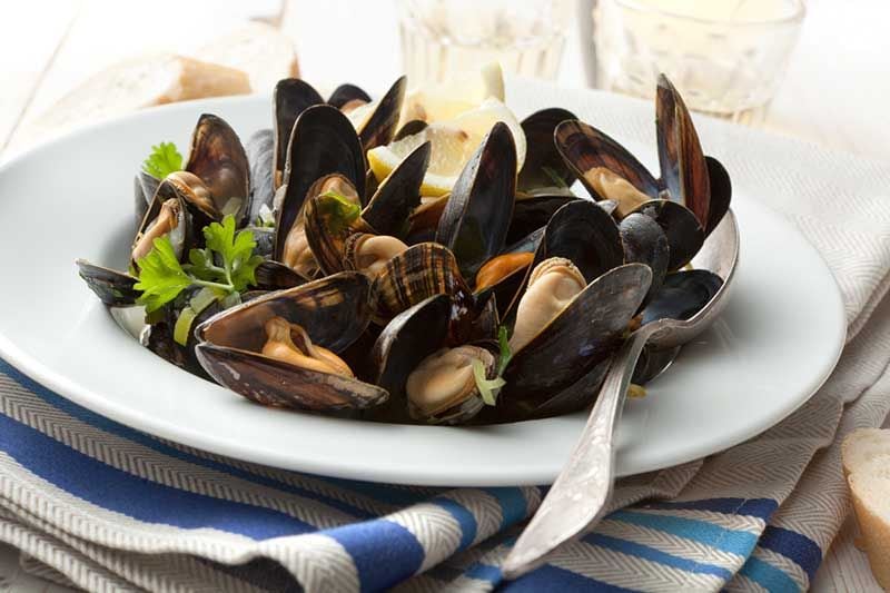 mejillones iStock 517046569