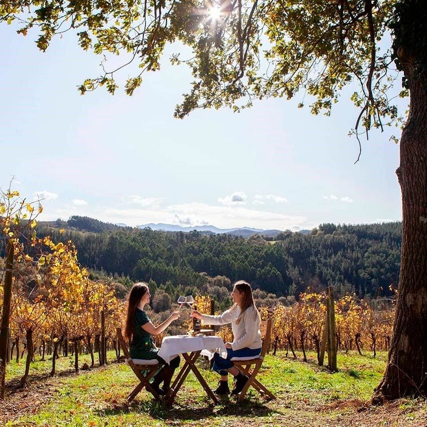 Cata de vinos en la DO Bizkaiko Txakolina, Bizkaia