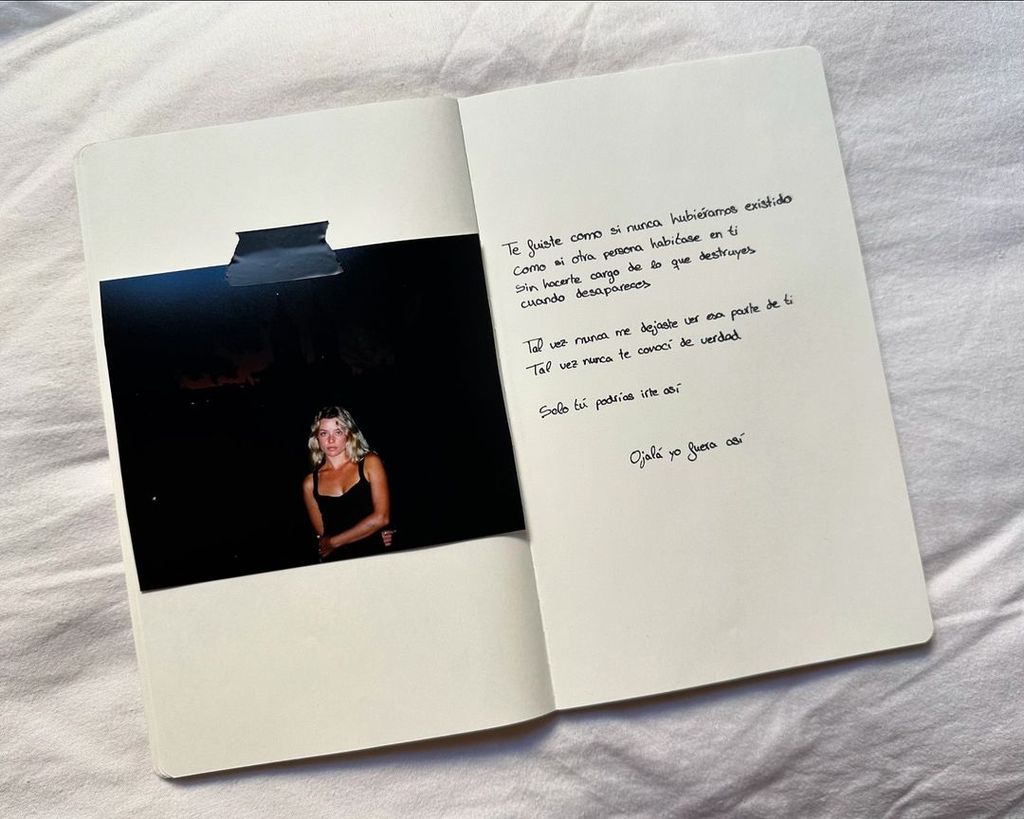 A text written by Marina Reche, along with the main image of her album