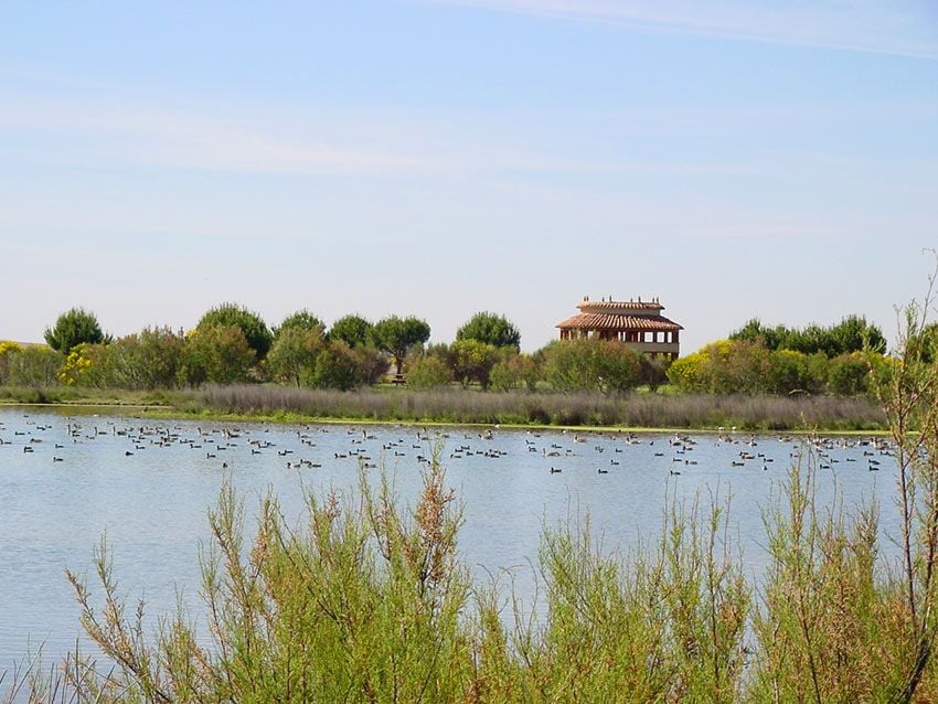 lagunas villafafila  zamora