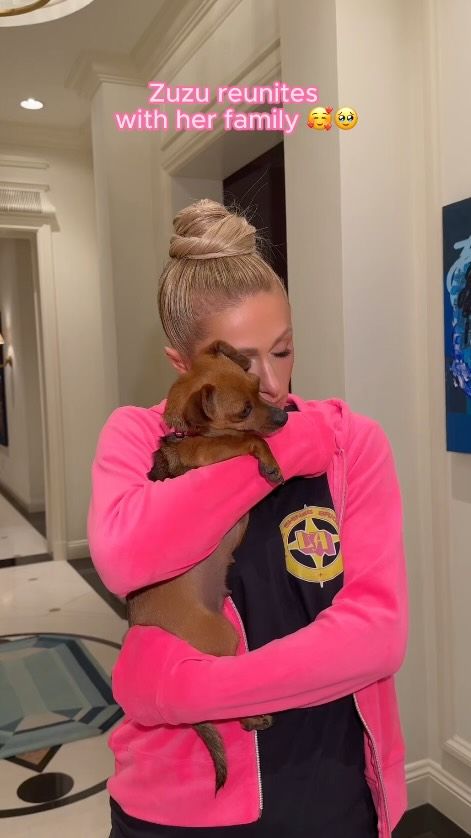 Paris Hilton se despide de Zuzu, la perrita que cuidó tras los incendios en California