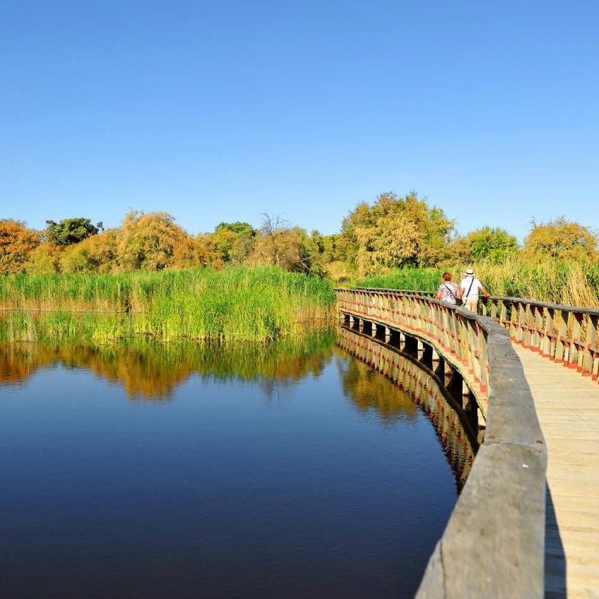 las tablas de daimiel en otono ciudad real