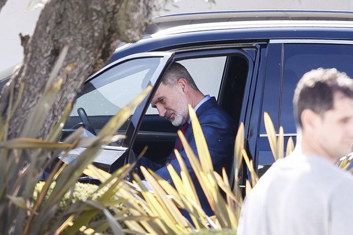 El rey Felipe visita a la reina Sofía en el hospital