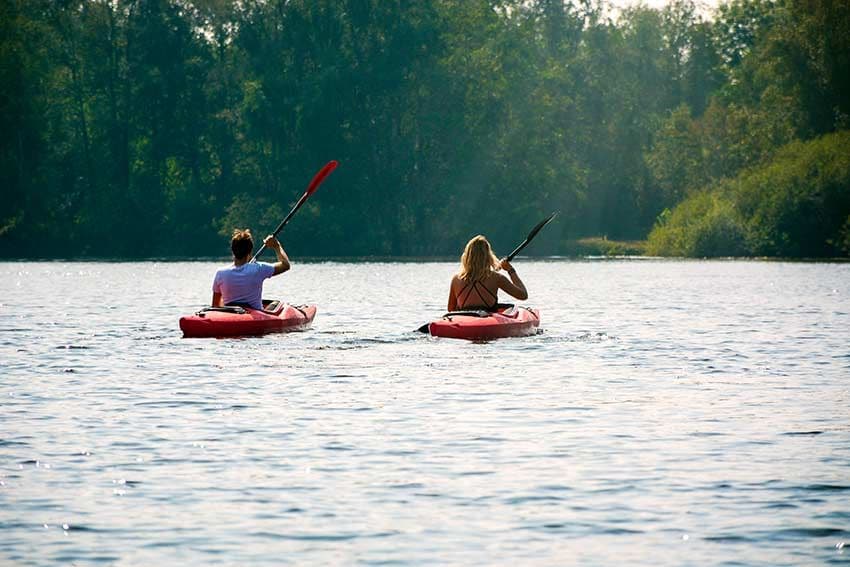 Weerribben-Wieden-holanda-kayak