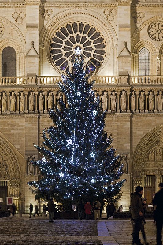 Paris-Navidad-notre-dame