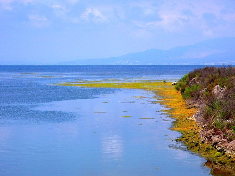 Delta del Ebro_a