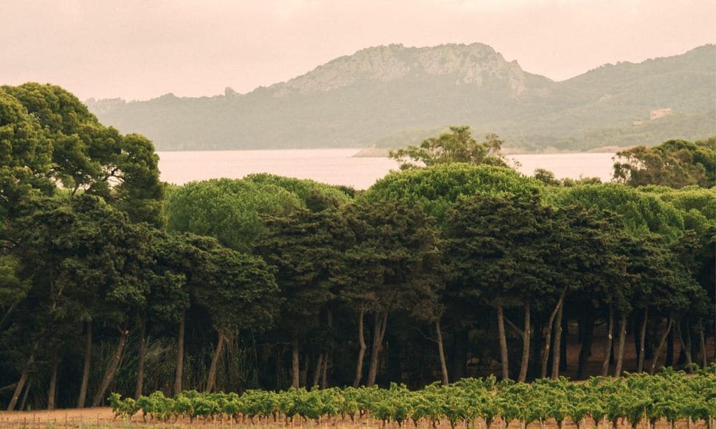 Isla Porquerolles, en la Costa Azul