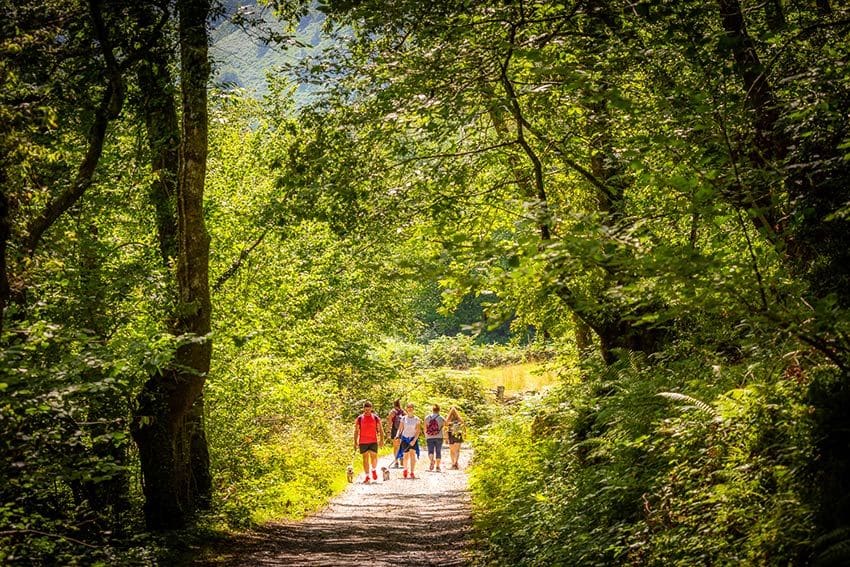 Área recreativa La Pesanca, Asturias