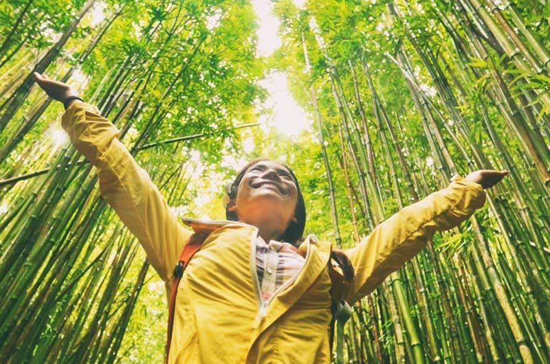 chica bosque bambu