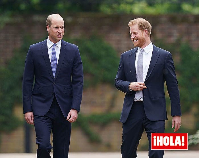 Príncipes Harry y Guillermo en el homenaje a Diana
