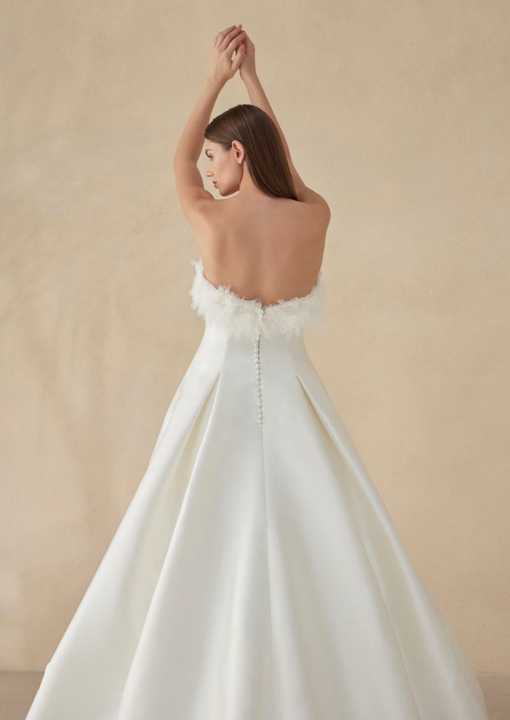 pronovias 62a