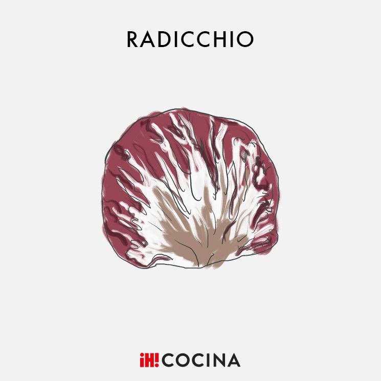 'Radicchio'