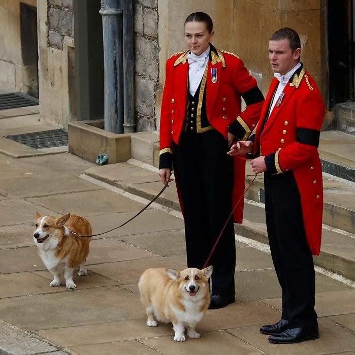 Sandy y Muick, los corgis de la reina Isabel II