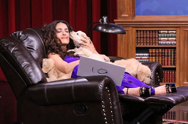 salma hayek divertidas fotos animales amor01