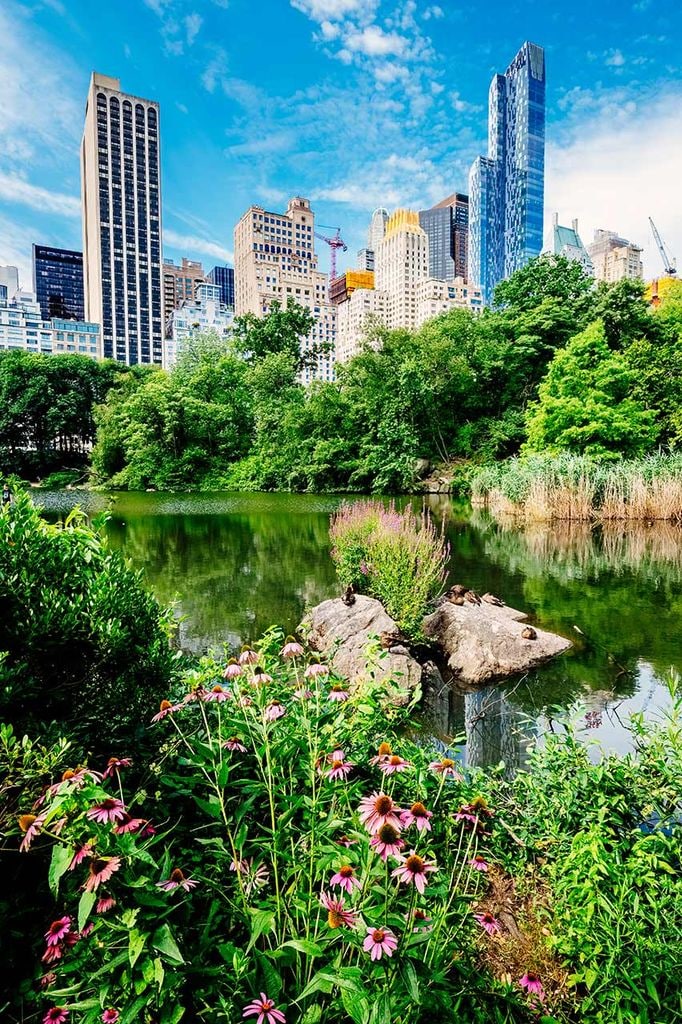 Central Park, Nueva York