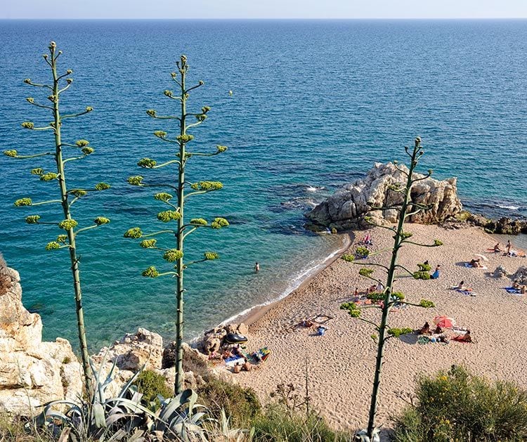 Calella Roca Grossa Barcelona playas