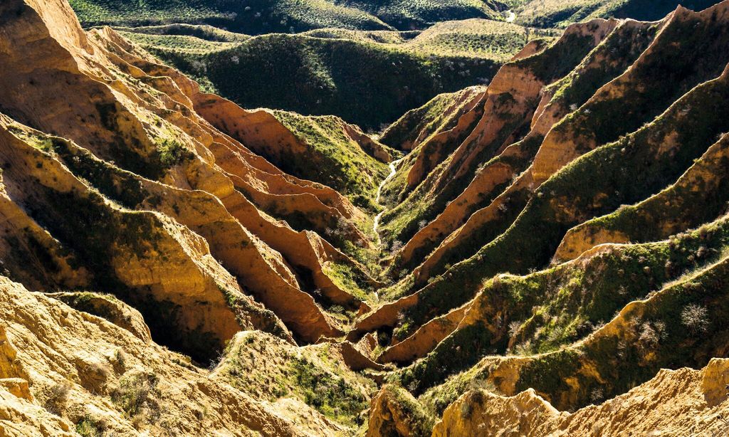 Barrancas de Burujón